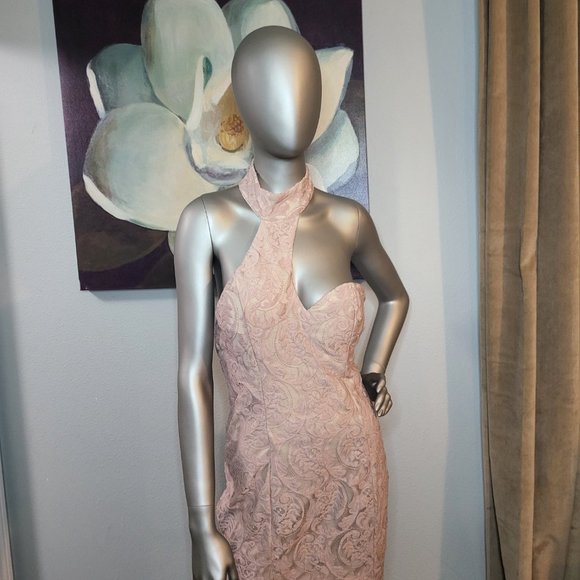 ChicCouture Lace Dress - Picture 1 of 4